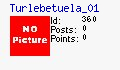 buletin membru Turlebetuela_01