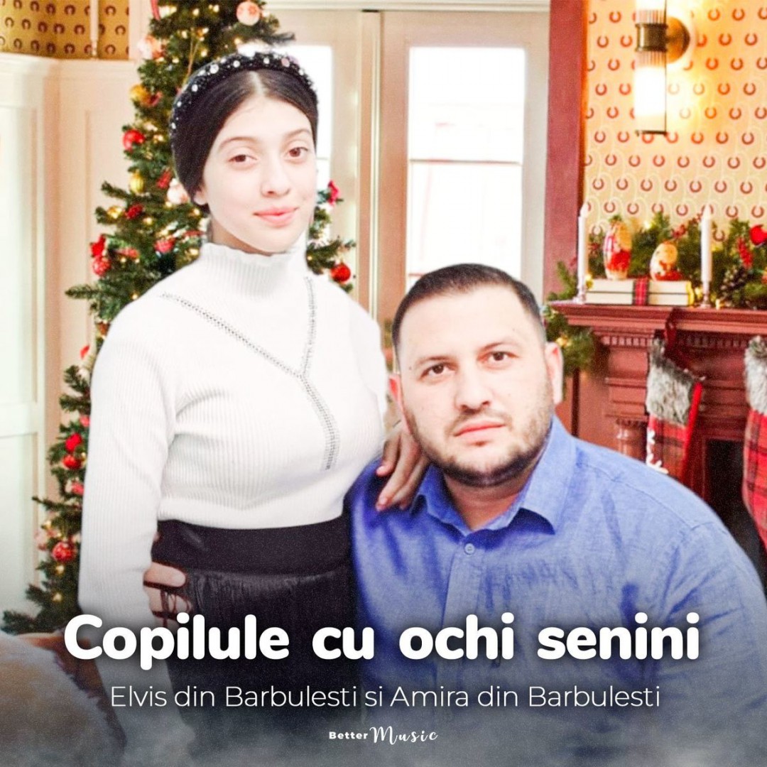 Se încarcă...