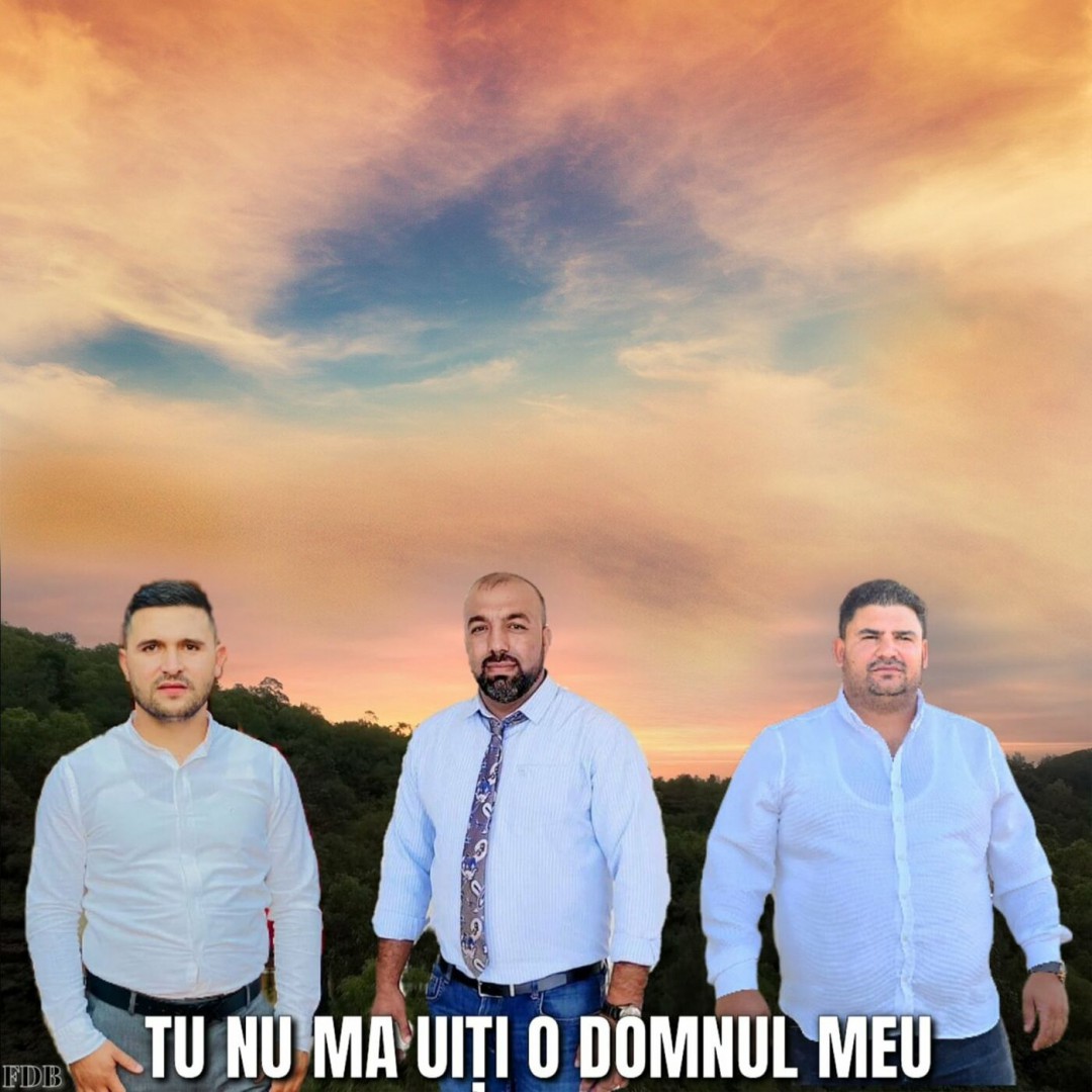 Se încarcă...