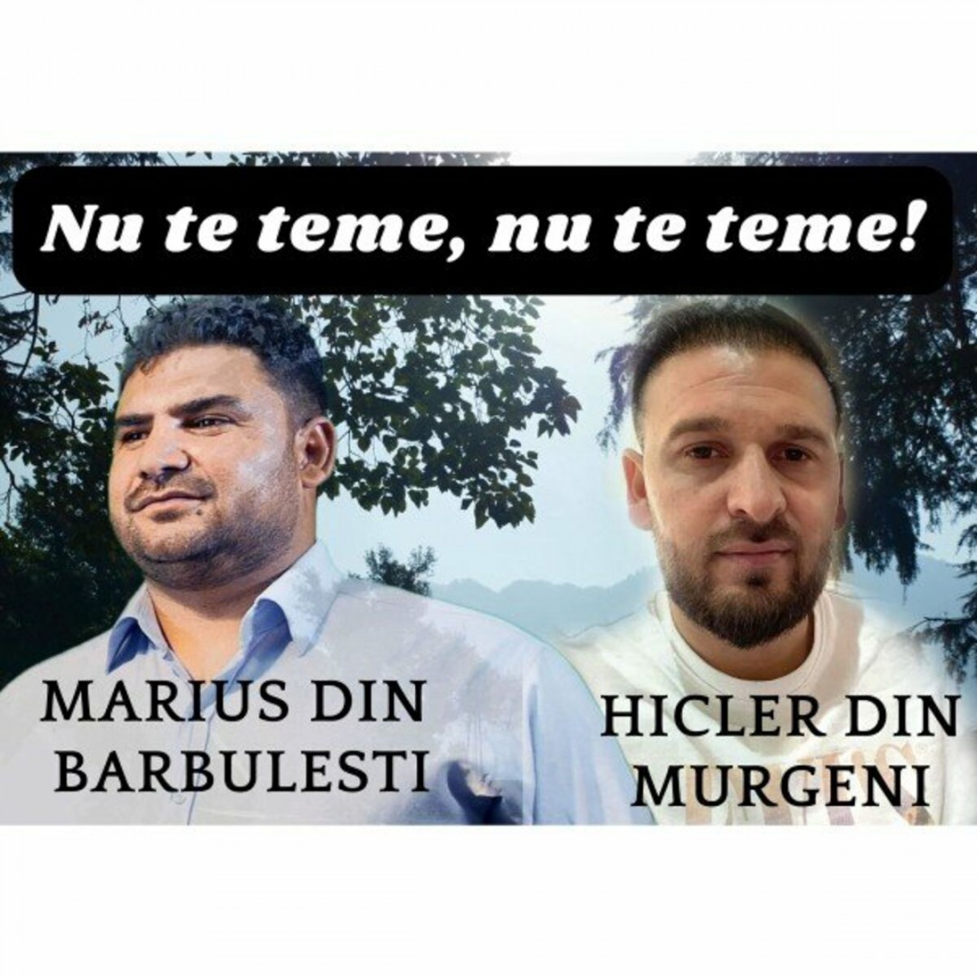 Se încarcă...