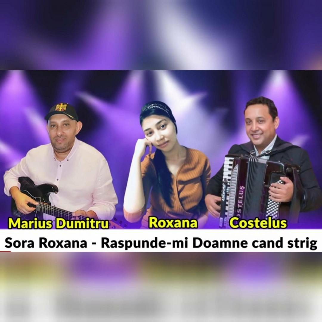 Se încarcă...