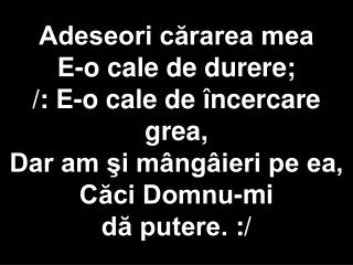 Se încarcă...