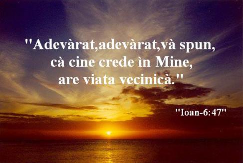 Se încarcă...