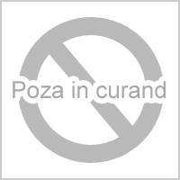 Se încarcă...
