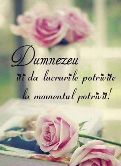 Se încarcă...