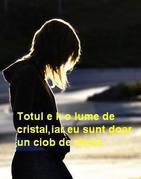 Se încarcă...