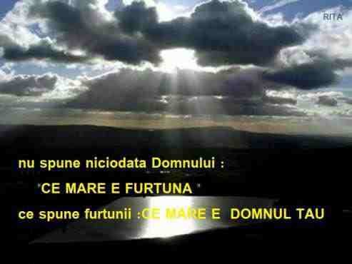 Se încarcă...
