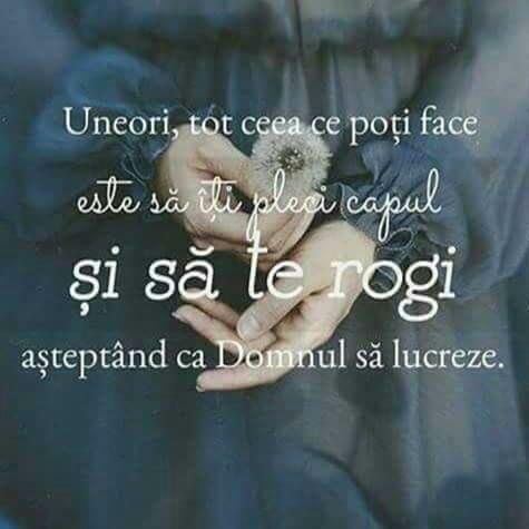 Se încarcă...