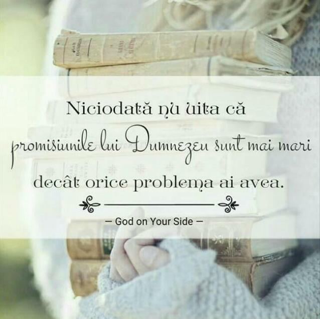 Se încarcă...