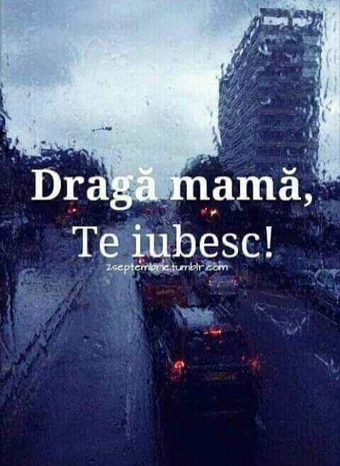 Se încarcă...