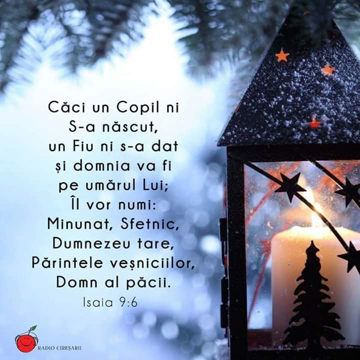 Se încarcă...