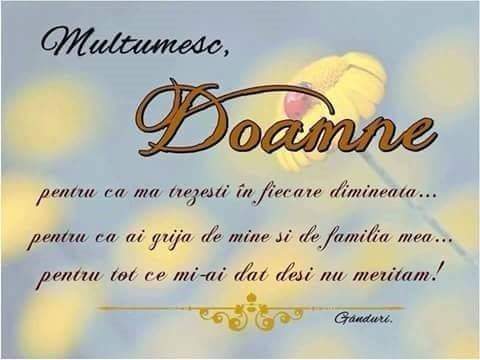 Se încarcă...