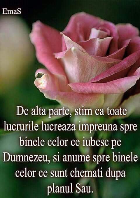 Se încarcă...