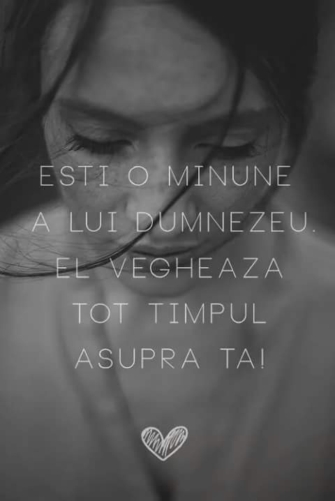 Se încarcă...
