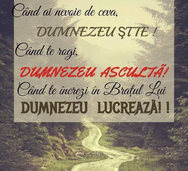 Se încarcă...