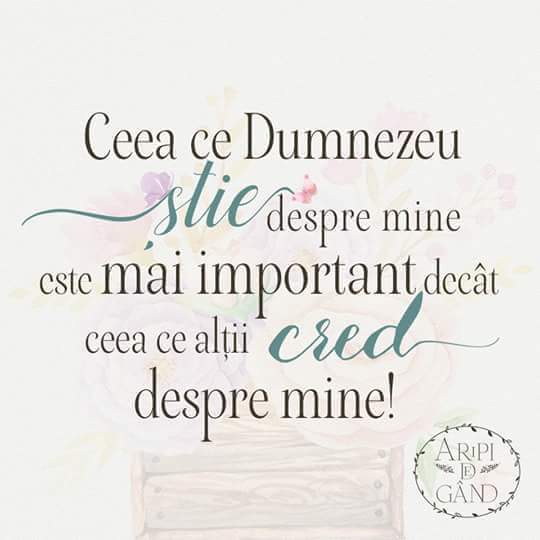 Se încarcă...