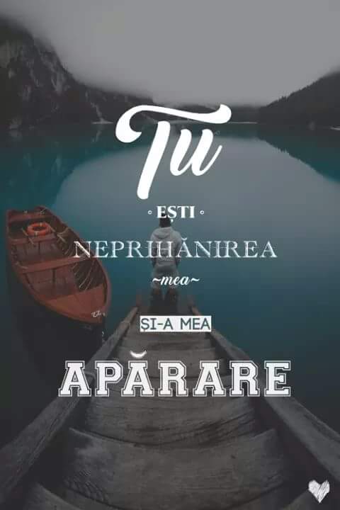 Se încarcă...