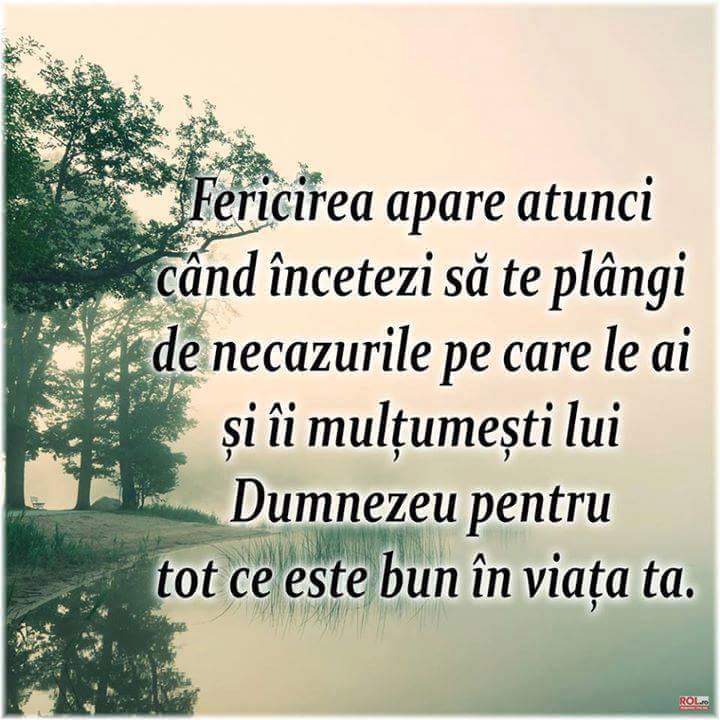 Se încarcă...