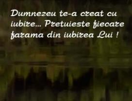 Se încarcă...