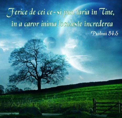 Se încarcă...