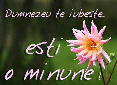 Se încarcă...