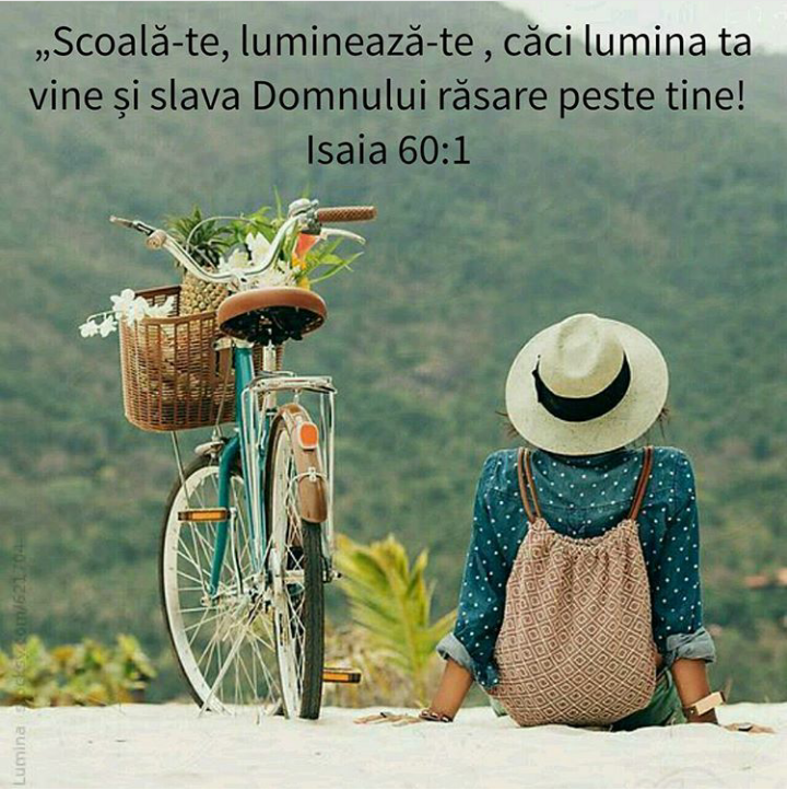 Se încarcă...