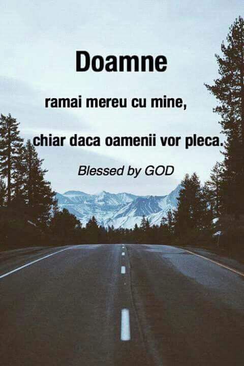 Se încarcă...
