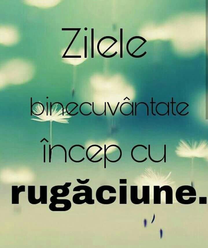 Se încarcă...