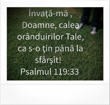 Se încarcă...