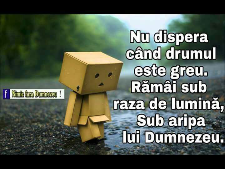 Se încarcă...