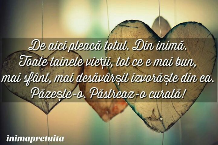 Se încarcă...