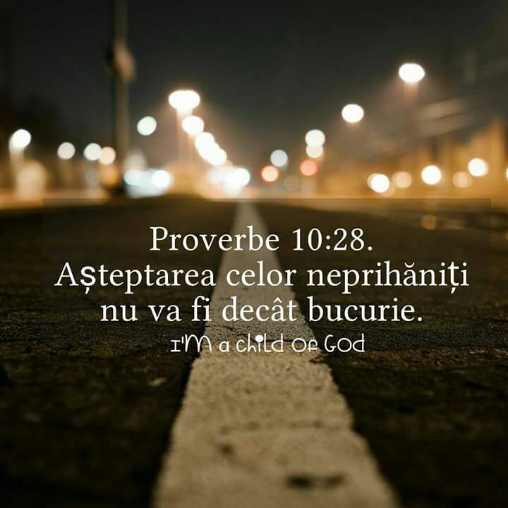 Se încarcă...