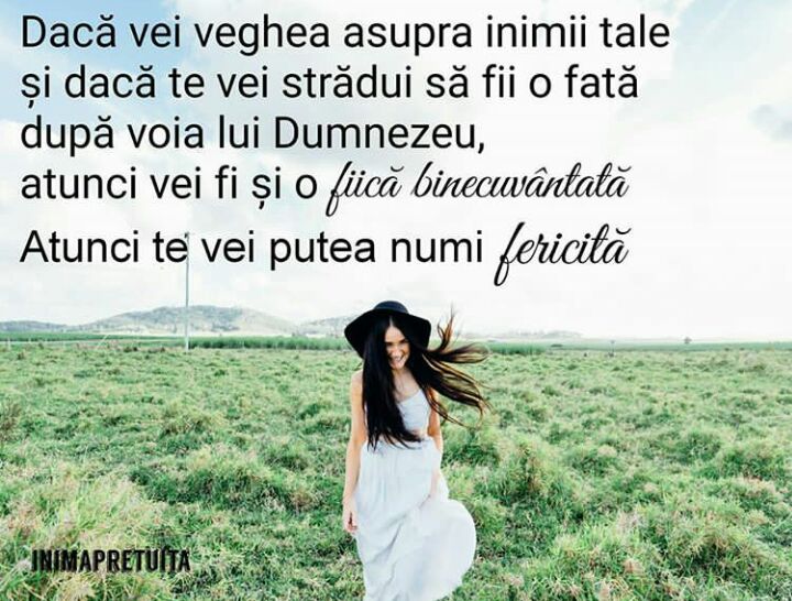 Se încarcă...