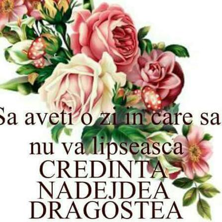 Se încarcă...