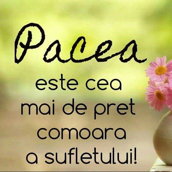 Se încarcă...