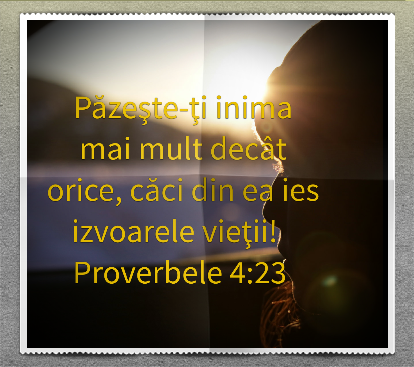 Se încarcă...