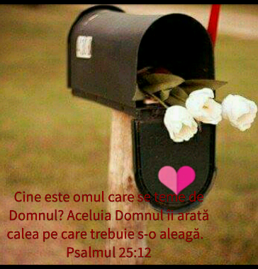Se încarcă...