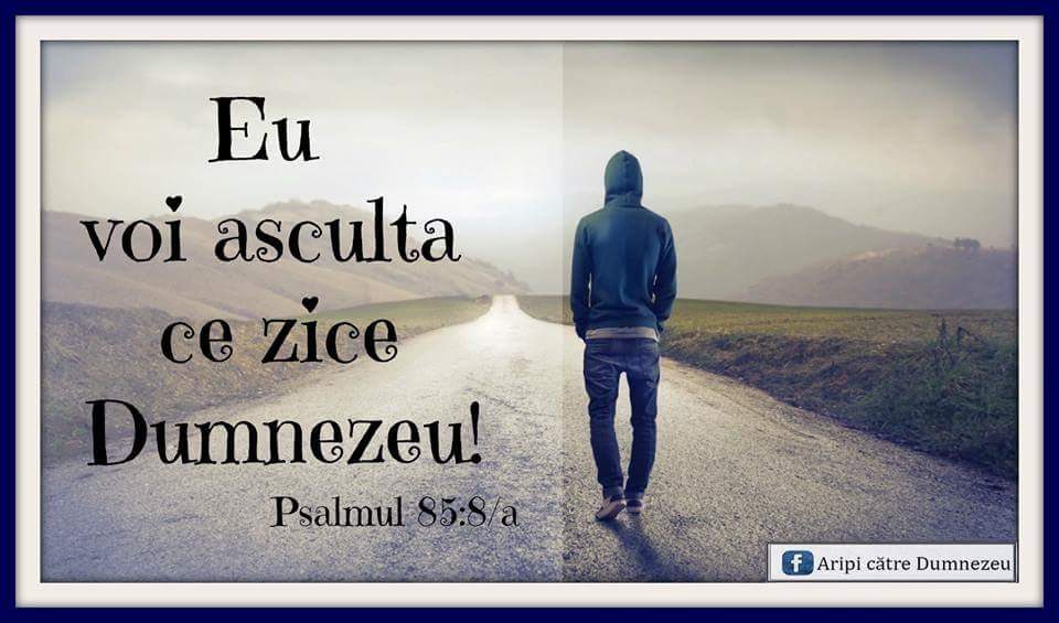 Se încarcă...