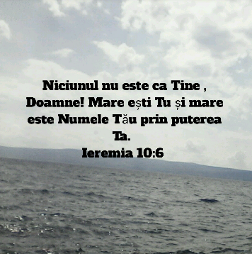 Se încarcă...
