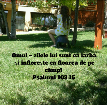Se încarcă...
