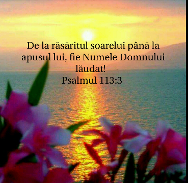 Se încarcă...