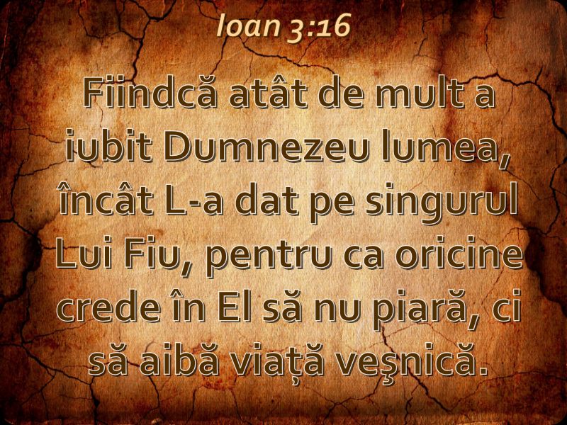 Se încarcă...