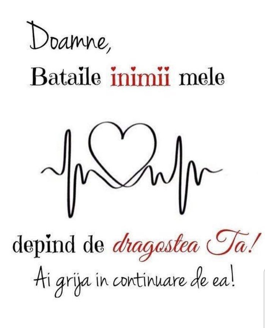 Se încarcă...