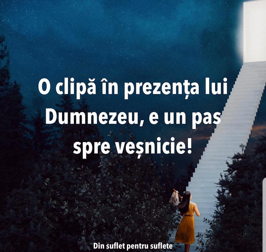 Se încarcă...