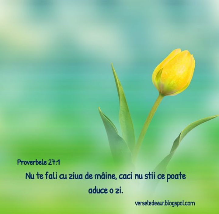 Se încarcă...