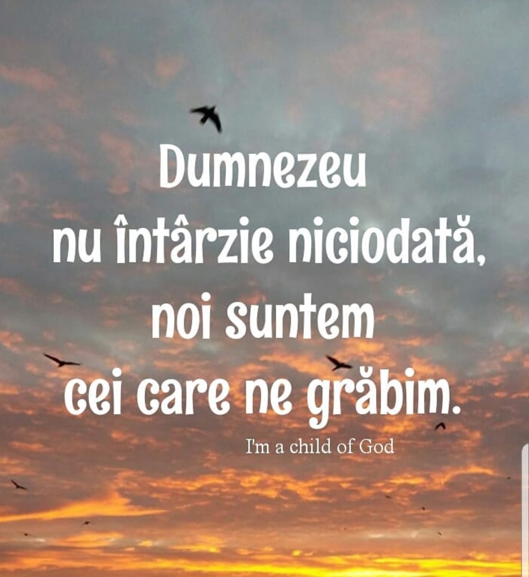 Se încarcă...