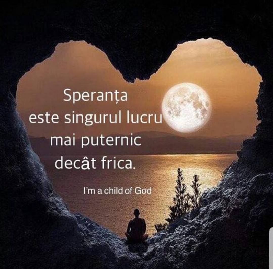 Se încarcă...