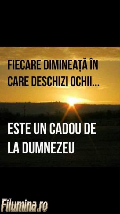 Se încarcă...