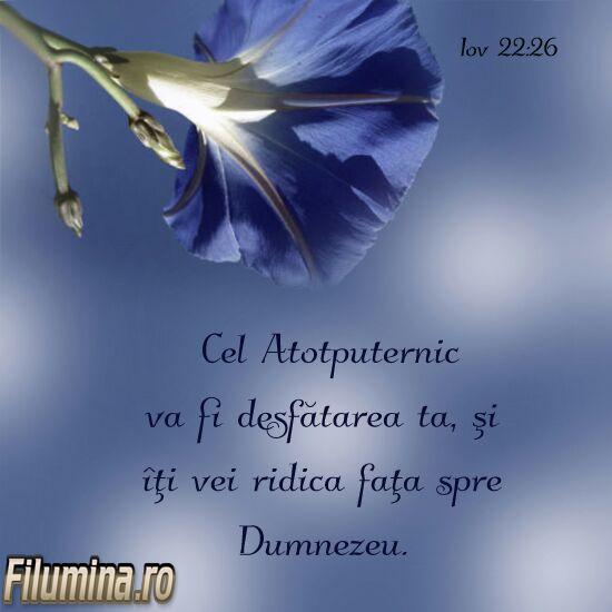 Se încarcă...