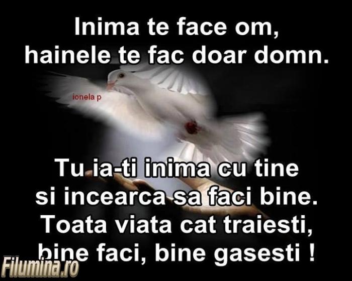 Se încarcă...